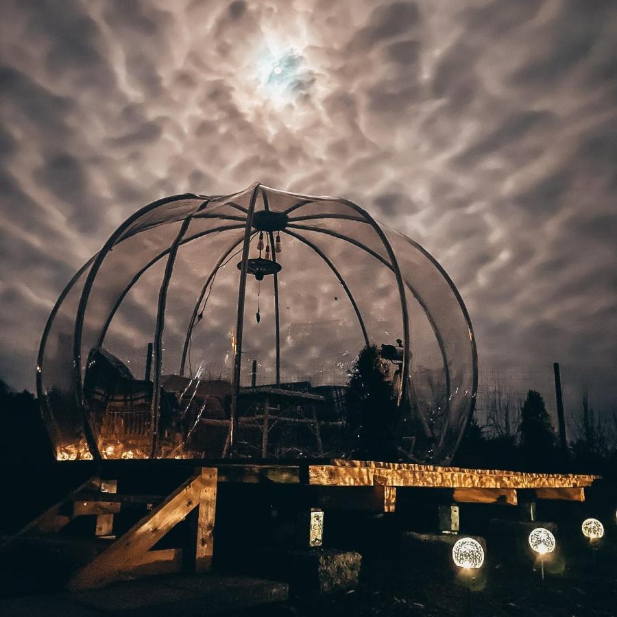 The Wooden Nest -Covasna Villa Екстериор снимка