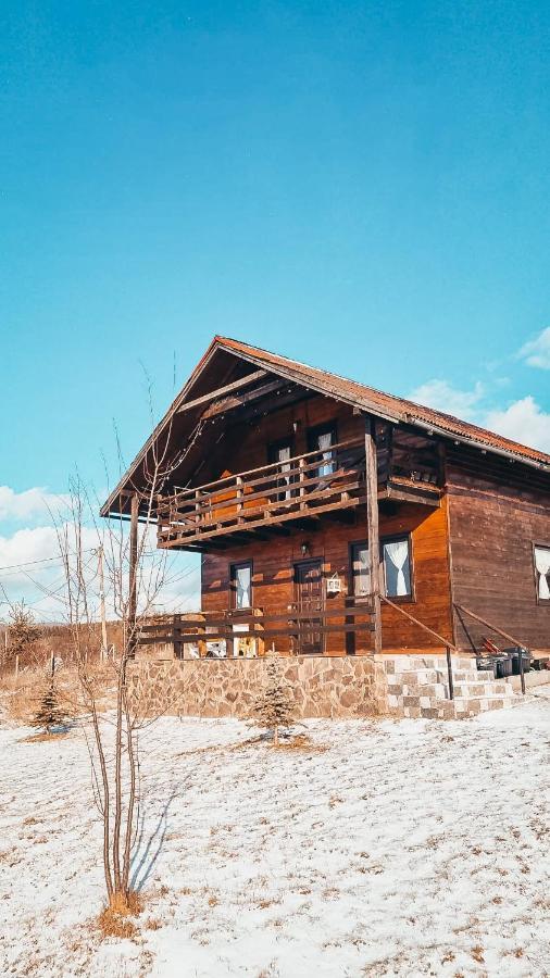 The Wooden Nest -Covasna Villa Екстериор снимка
