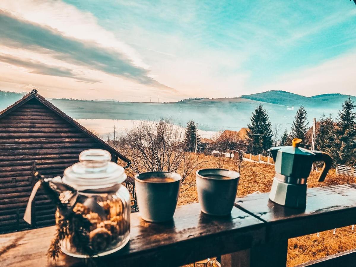 The Wooden Nest -Covasna Villa Екстериор снимка