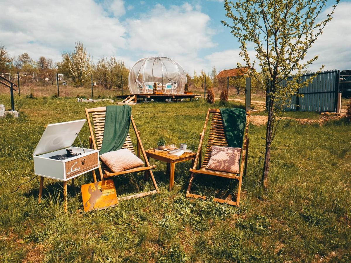 The Wooden Nest -Covasna Villa Екстериор снимка