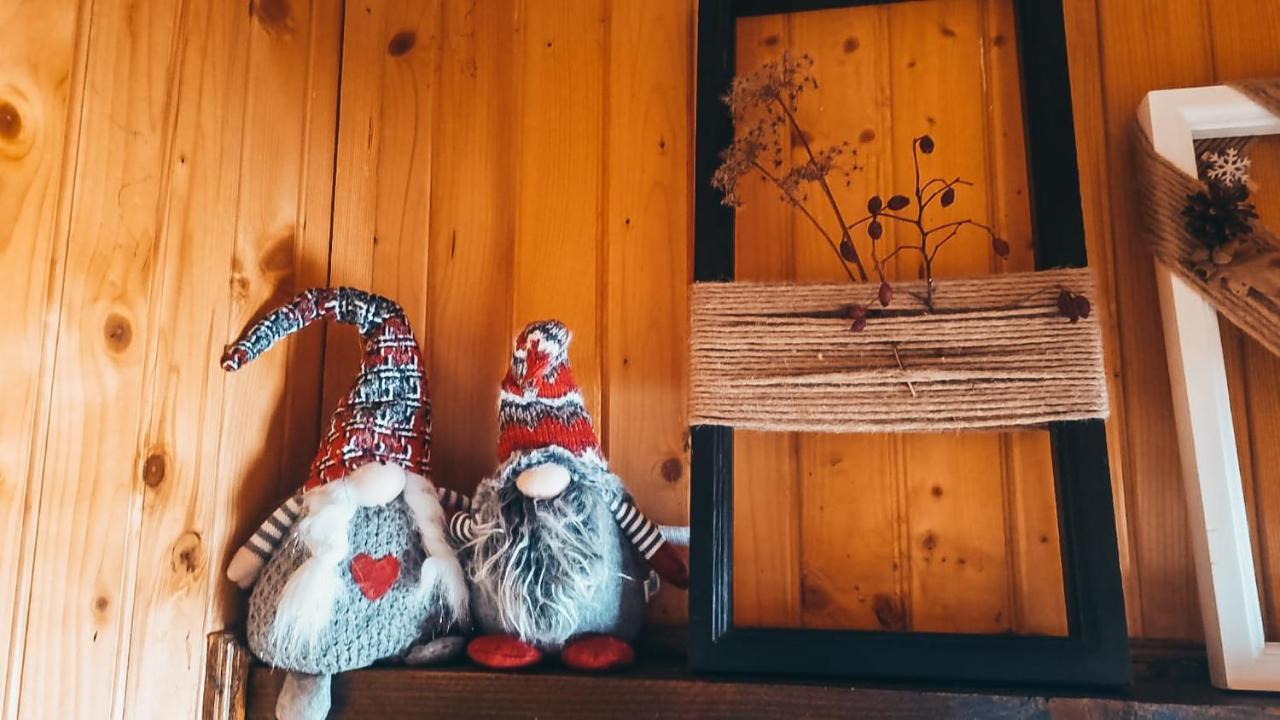 The Wooden Nest -Covasna Villa Екстериор снимка